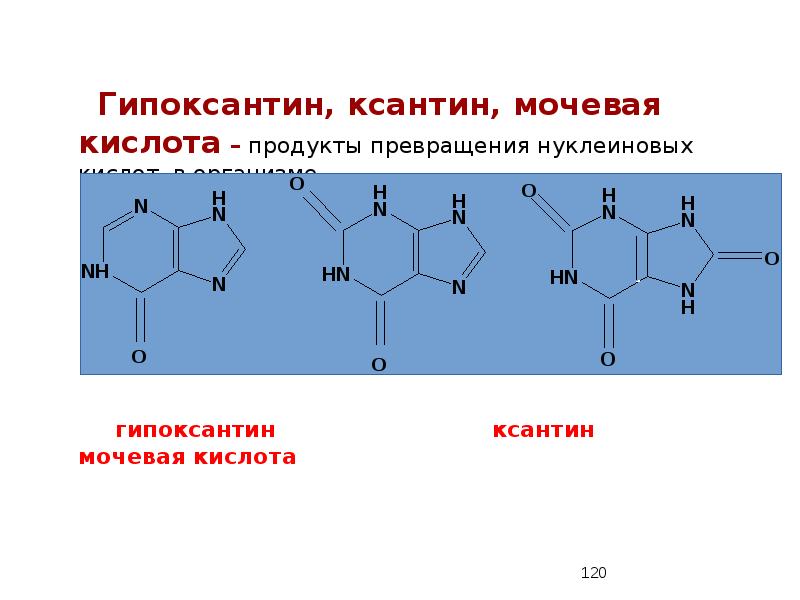 Гипоксантин. Структурная формула ксантина. Ксантин формула структурная. Гипоксантин структурная формула. Ксантин гидроксилирование.