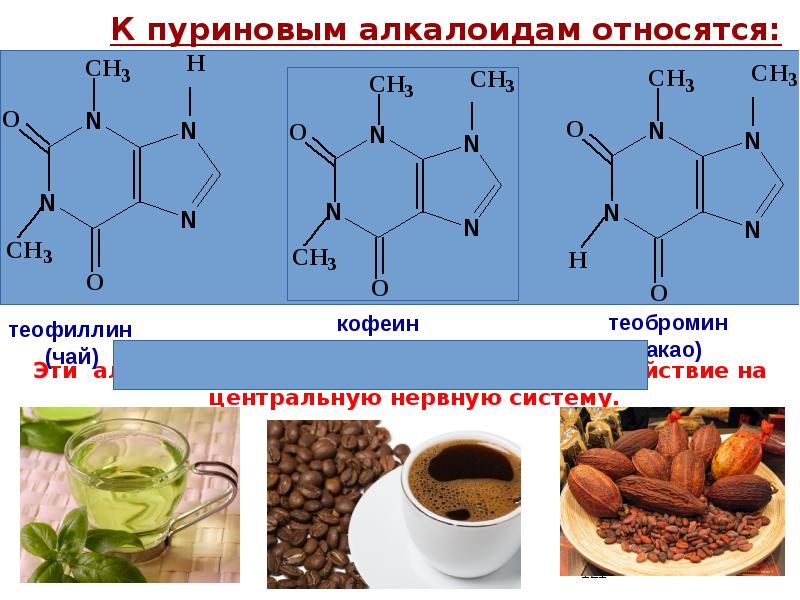 Алкалоиды пуринового ряда. К гетероциклическим соединениям относятся. Гетероциклические соединения в медицине. Соединения относящиеся к алкалоидам.