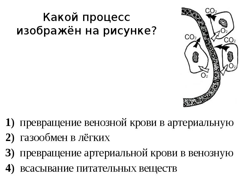 На представленной ниже рисунке ученик зафиксировал в виде схемы один из процессов 2 вариант