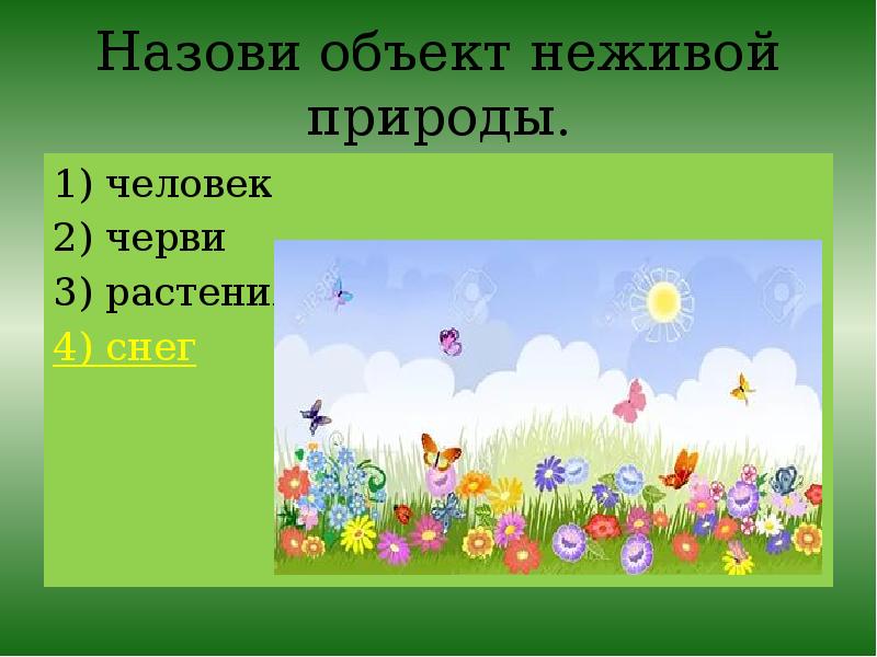 Назвать объект неживой природы. Летние изменения в природе 2 класс. Загадки о неживой природе. Проект про лето про неживую природу. Загадки о неживой природе 2 класс.