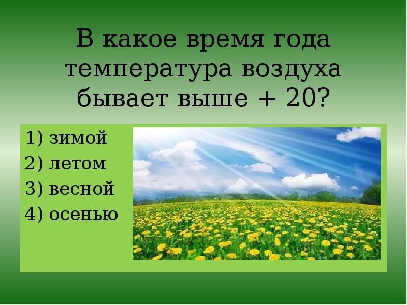 Изменения лета. Летние изменения в природе. Изменения в природе летом. Окружающий мир лето. Летние изменения в живой природе.