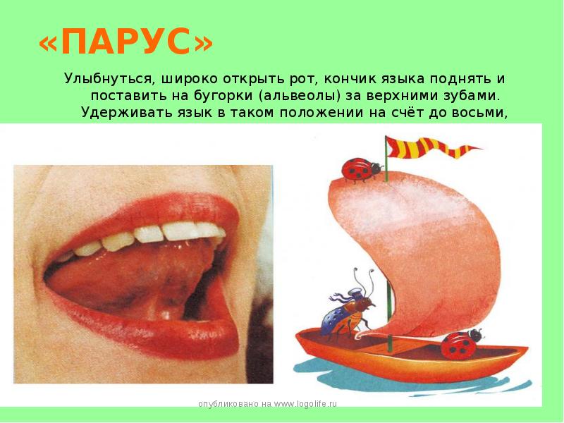 «ПАРУС» Улыбнуться, широко открыть рот, кончик языка поднять и поставить на