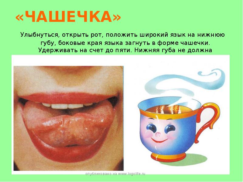 «ЧАШЕЧКА»  Улыбнуться, открыть рот, положить широкий язык на нижнюю губу,