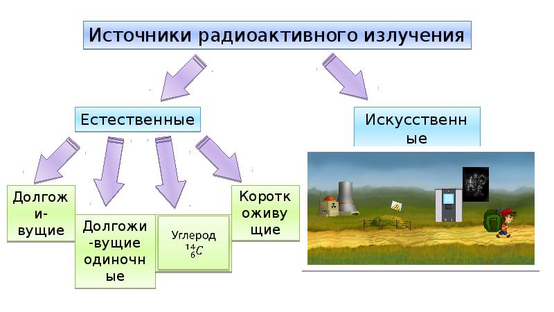 Проект влияние радиации на живые организмы