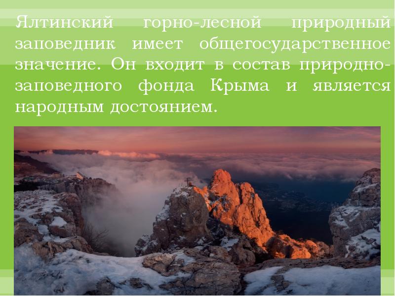 Ялтинский горно лесной природный заповедник презентация