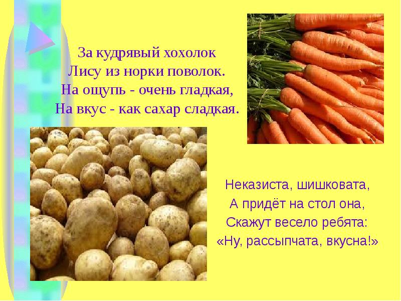 Неказиста шишковата а придет на стол она скажут весело