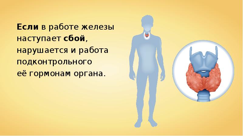 Нарушение работы желез. Работа эндокринной системы и её нарушения 8 класс презентация.