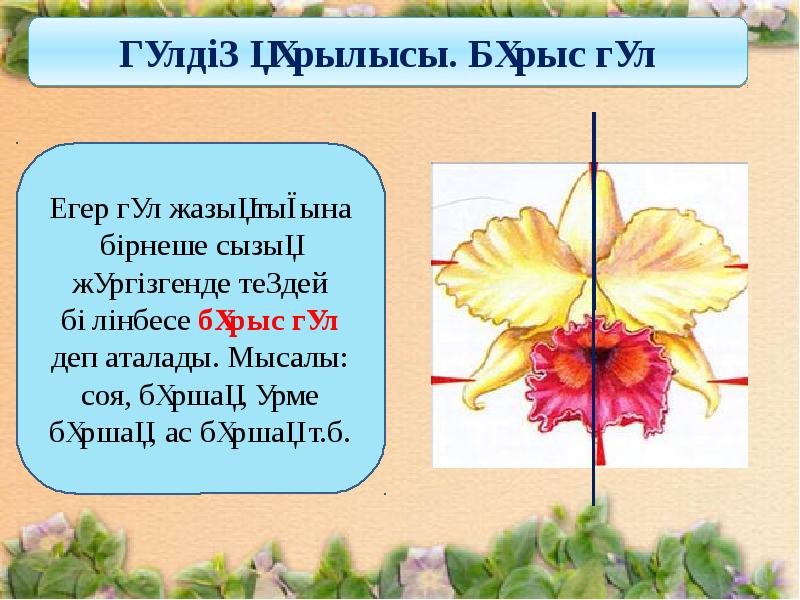 Гүлдің құрылысы презентация