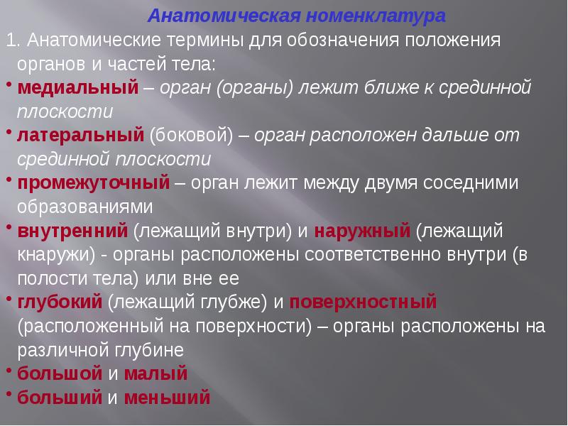 Анатомическая терминология. Анатомические термины. Номенклатура анатомии. Анатомическая номенклатура анатомия. Обозначение положения органов и частей тела.