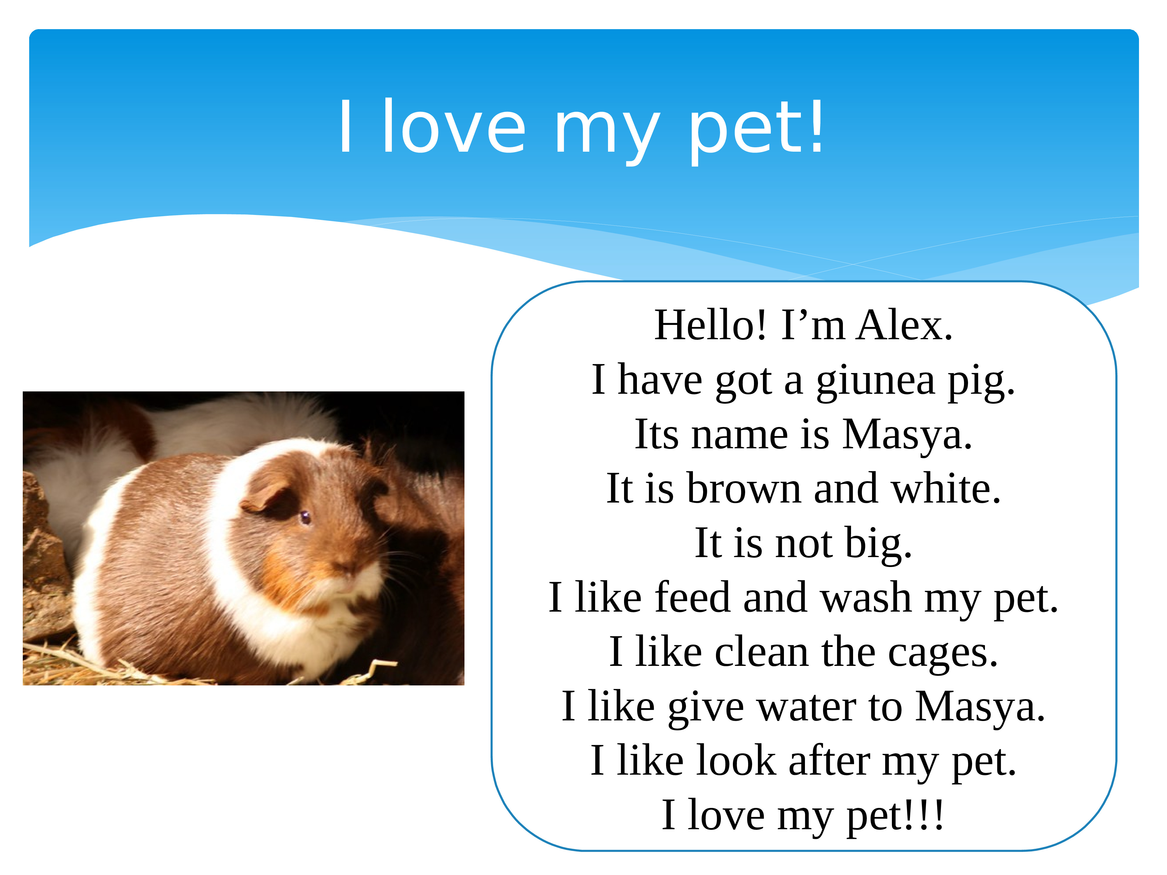 My pet английский 5 класс. Проект my Pet. Проект по английскому my Pet. My Pet 3 класс. Проект my Pet 3 класс.
