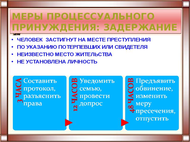 Меры процессуального принуждения презентация