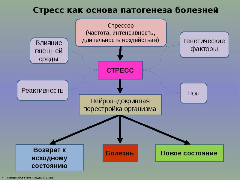 Компенсаторно приспособительные процессы патанатомия. Процессы приспособления компенсации. Процессы приспособления и компенсации патологии. Физиологическая и патологическая адаптация. Механизмы компенсаторно-приспособительных реакций.