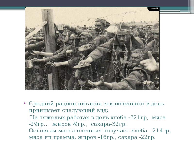 Средний рацион питания заключенного в день принимает следующий вид:
Средний Средний рацион питания заключенного в день принимает следующий вид:
Средний