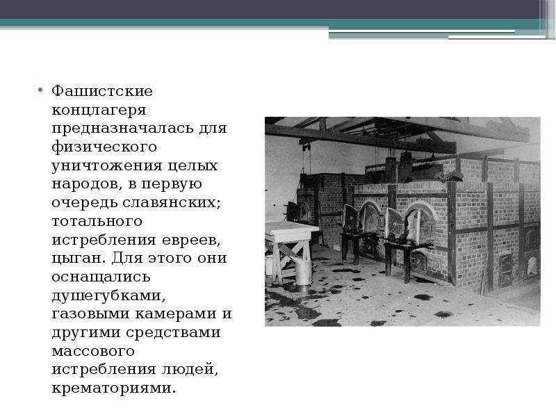 Фашистские концлагеря предназначалась для физического уничтожения целых народов, в первую очередь Фашистские концлагеря предназначалась для физического уничтожения целых народов, в первую очередь