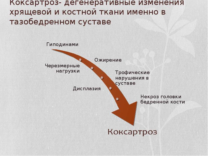Коксартроз- дегенеративные изменения хрящевой и костной ткани именно в тазобедренном суставе Коксартроз- дегенеративные изменения хрящевой и костной ткани именно в тазобедренном суставе