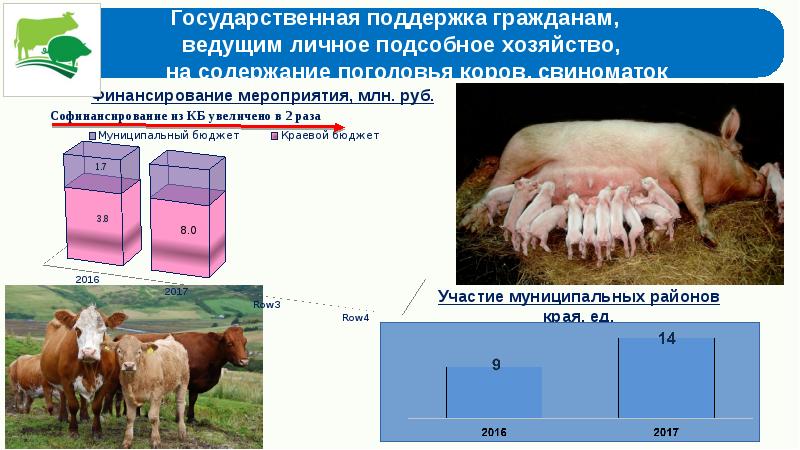 Мал форм