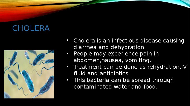 CHOLERA CHOLERA