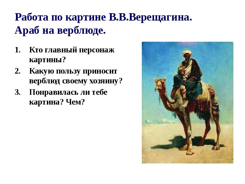 Где найти верблюда