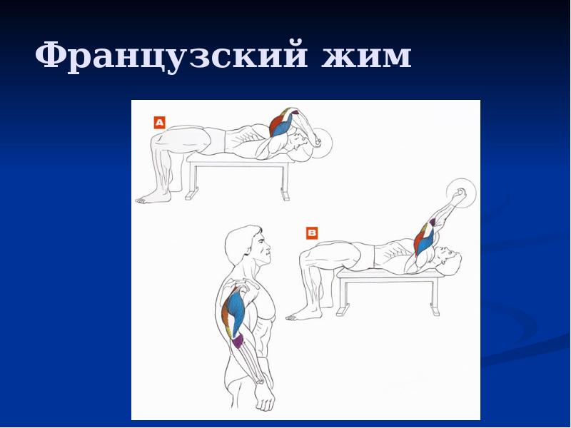 Почему французский жим. Французский жим. Французский жим техника. Французский жим техника выполнения. Французский жим при сколиозе.