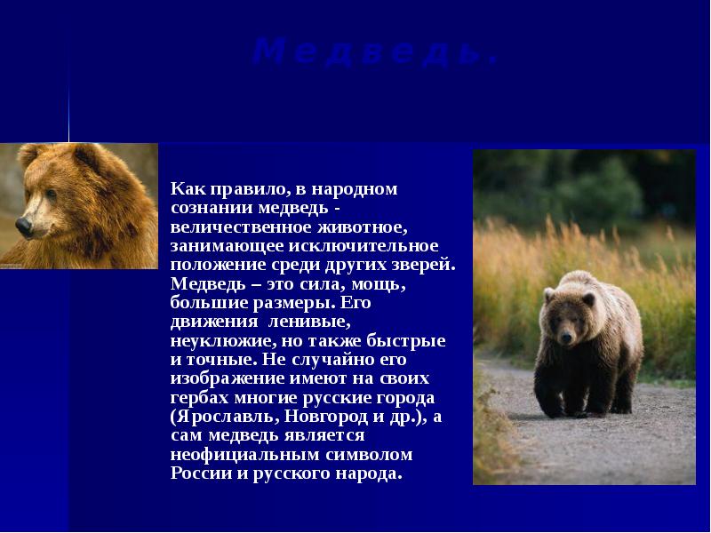 Неофициальный символ россии медведь. Неофициальные символы России медведь. Медведь символ России. Медведь символ России презентация. Медведь - величественное животное.