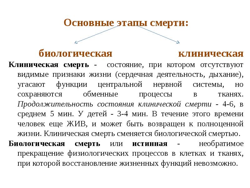 Прекращение деятельности сердца. Этапы биологической смерти. Основные этапы смерти. Клиническая и биологическая смерть. Стадии клинической смерти.