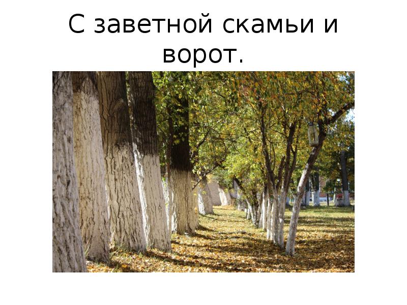 Скамья у ворот картинки