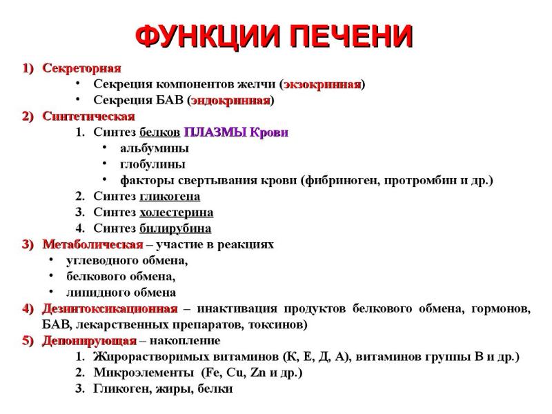 Пищеварительная система человека егэ презентация