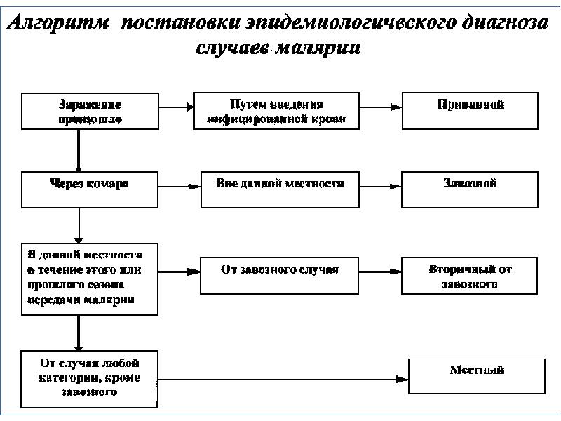 Малярия патогенез схема