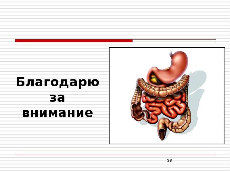 Заболевания жкт картинки для презентации