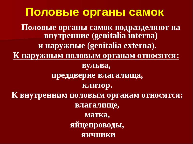 Половые органы самок    Половые органы самок подразделяют на
