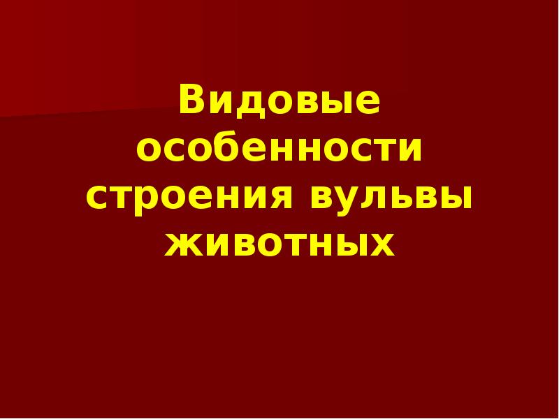 Видовые особенности строения вульвы животных