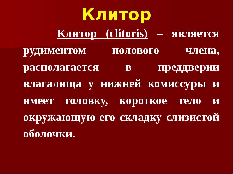 Клитор   Клитор (clitoris) – является рудиментом полового члена, располагается