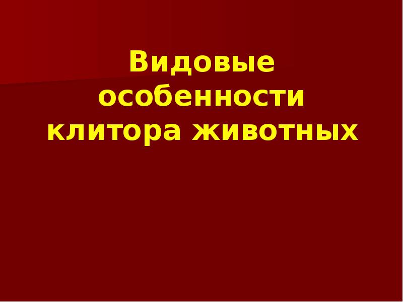 Видовые особенности клитора животных