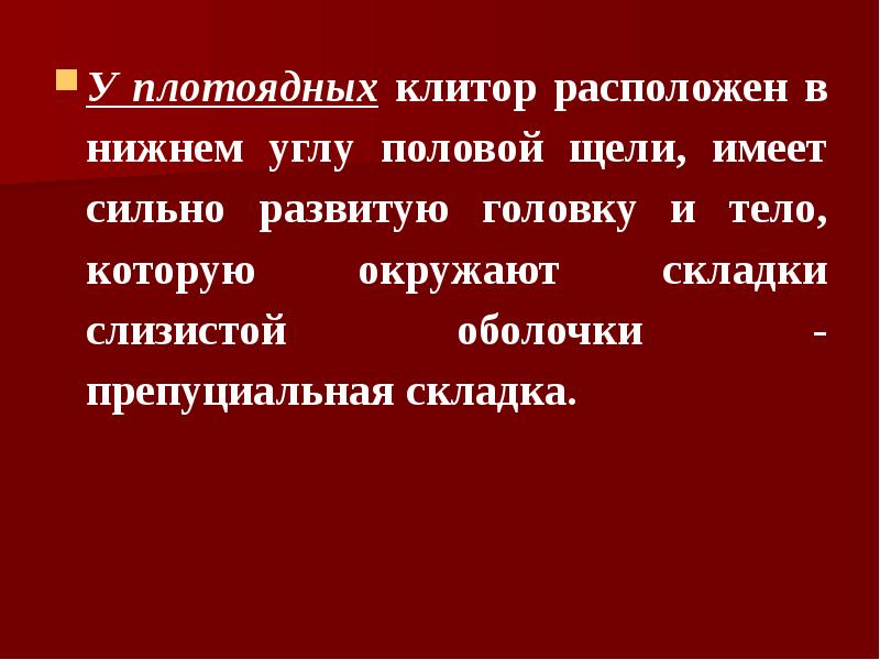 У плотоядных клитор расположен в нижнем углу половой щели, имеет сильно
