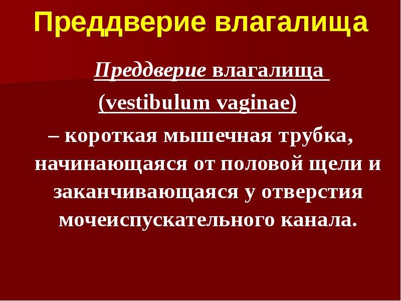 Преддверие влагалища   Преддверие влагалища  (vestibulum vaginae)  –