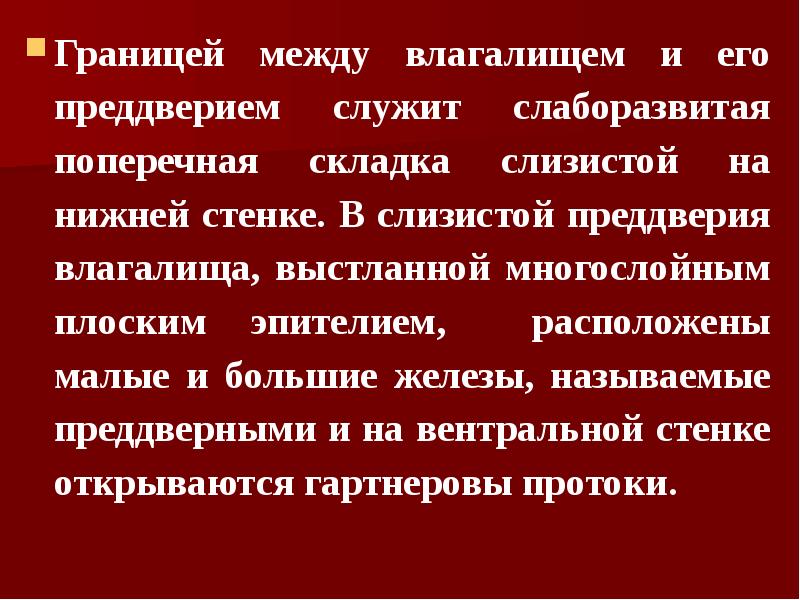 Границей между влагалищем и его преддверием служит слаборазвитая поперечная складка слизистой