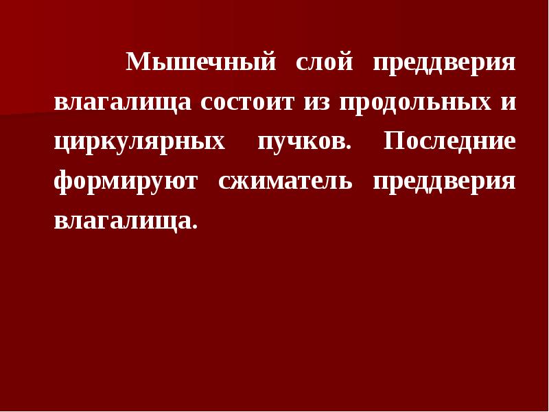 Мышечный слой преддверия влагалища состоит из продольных и циркулярных пучков. Последние