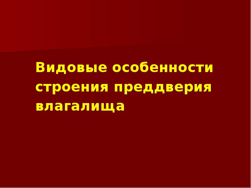 Видовые особенности строения преддверия влагалища