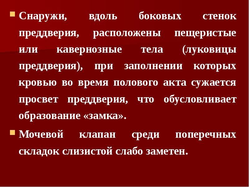 Снаружи, вдоль боковых стенок преддверия, расположены пещеристые или кавернозные тела (луковицы