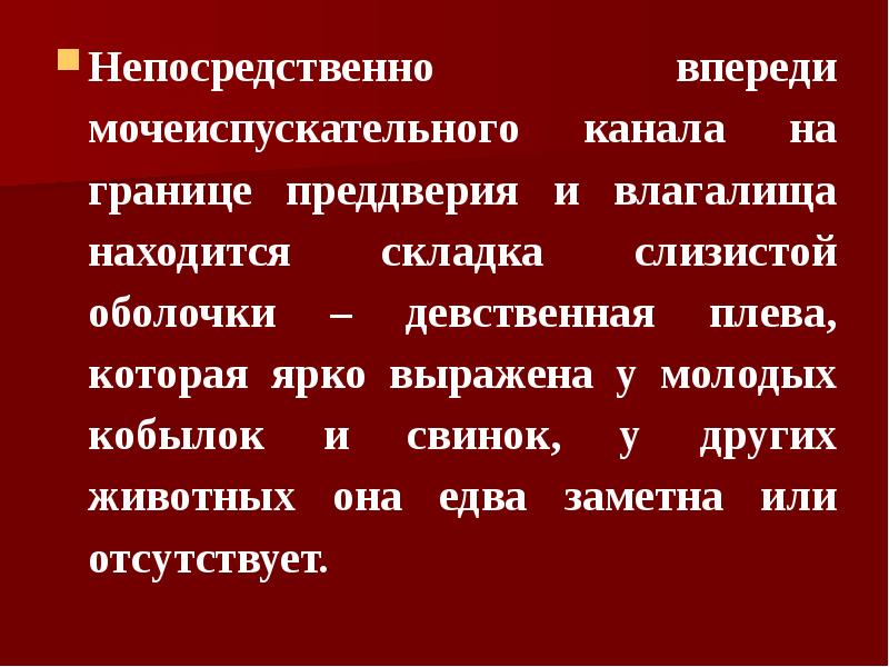 Непосредственно впереди мочеиспускательного канала на границе преддверия и влагалища находится складка
