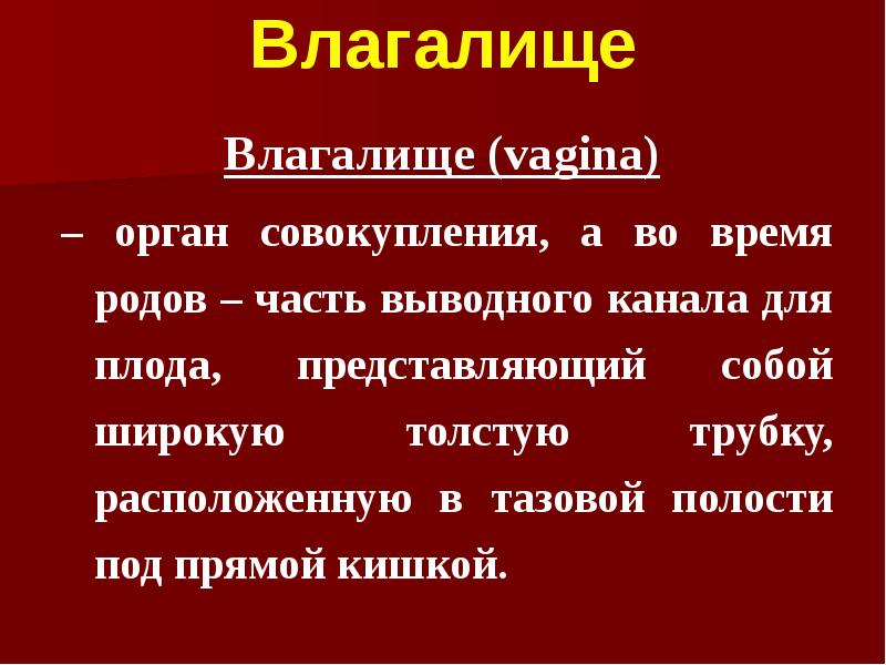Влагалище  Влагалище (vagina)  – орган совокупления, а во время