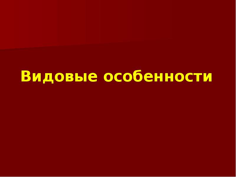 Видовые особенности