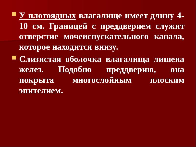 У плотоядных влагалище имеет длину 4-10 см. Границей с преддверием служит