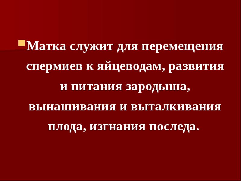 Матка служит для перемещения спермиев к яйцеводам, развития и питания зародыша,
