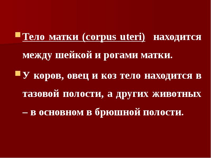 Тело матки (corpus uteri) находится между шейкой и рогами матки. У