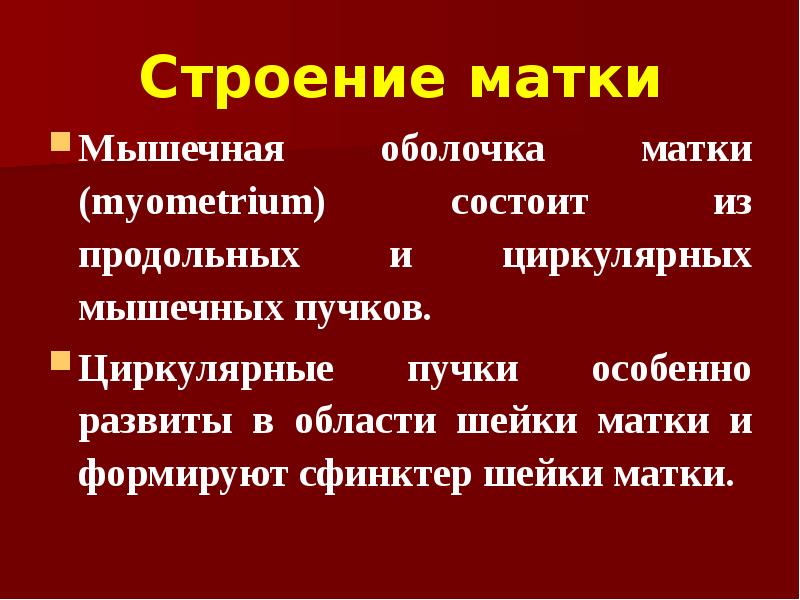 Строение матки Мышечная оболочка матки (myometrium) состоит из продольных и циркулярных