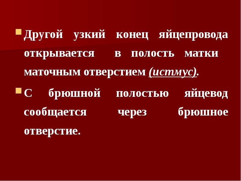 Другой узкий конец яйцепровода открывается в полость матки маточным отверстием (истмус).
