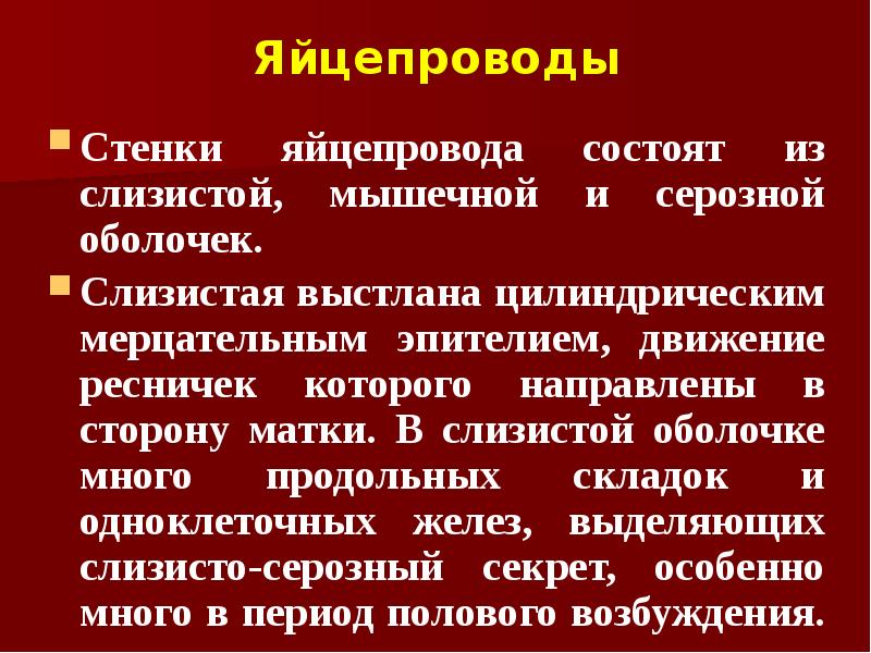Яйцепроводы Стенки яйцепровода состоят из слизистой, мышечной и серозной оболочек. 