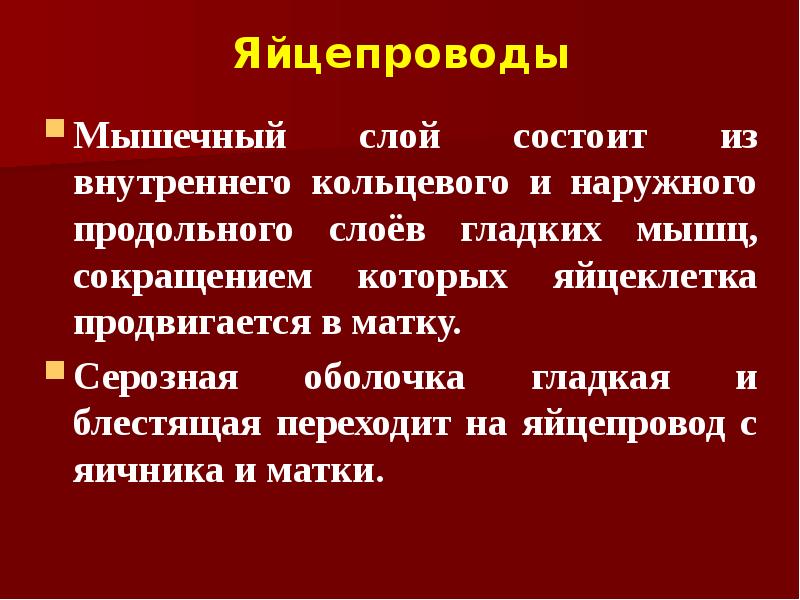Яйцепроводы Мышечный слой состоит из внутреннего кольцевого и наружного продольного слоёв