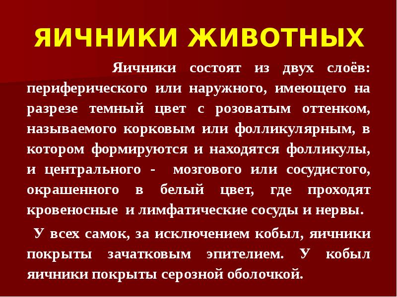 ЯИЧНИКИ ЖИВОТНЫХ     Яичники состоят из двух слоёв: